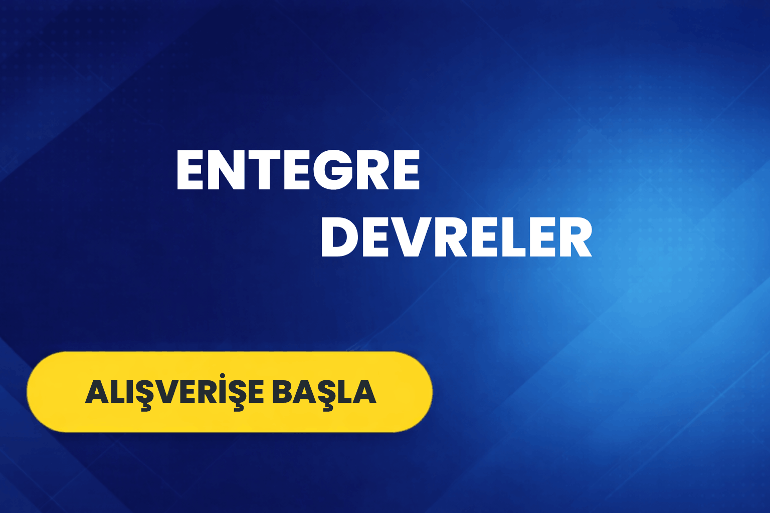 Entegre Devre Çeşitleri